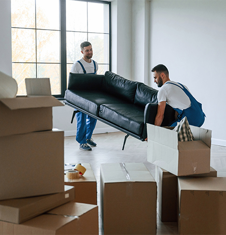 sofa-hands-two-moving-service-employees-room marco